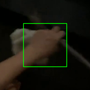 task 1014 lijiaxi 的手框裁剪图
