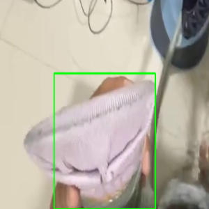 task 1015 lijiaxi 的手框裁剪图