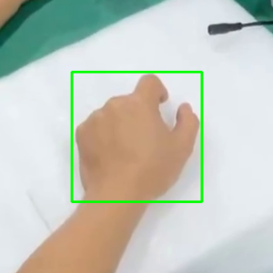 task 1051 lijiaxi 的手框裁剪图
