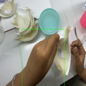 task 1183 jiangxingling 的手框裁剪图