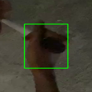 task 1203 jiangxingling 的手框裁剪图