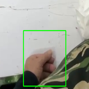 task 1236 jiangxingling 的手框裁剪图