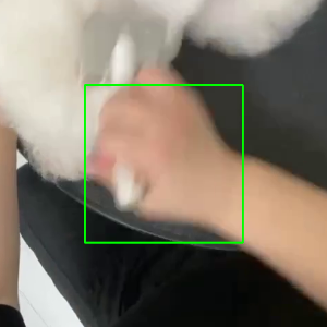 task 1481 tianyu 的手框裁剪图